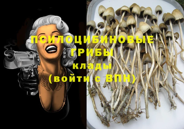 метадон Ельня
