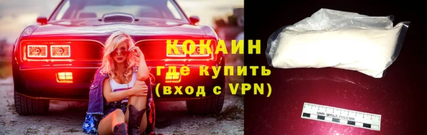 метадон Ельня