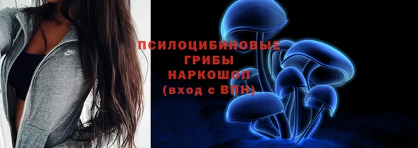 эйфоретик Елизово