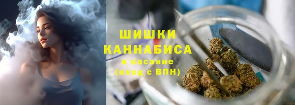 метадон Ельня