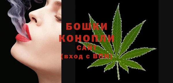 эйфоретик Елизово