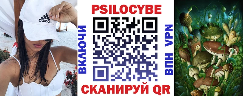 Купить  Болотное  Псилоцибиновые грибы GOLDEN TEACHER 
